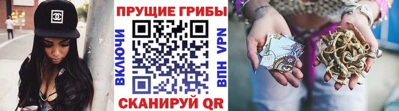 Псилоцибиновые грибы Magic Shrooms  Лермонтов 